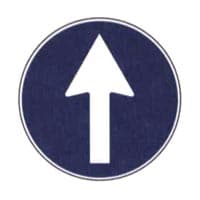 Direzione obbligatoria diritto